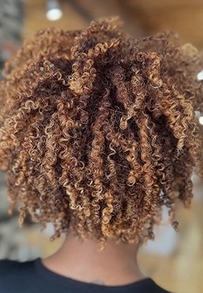 LP_iNOA_ColorGuide_05 copy