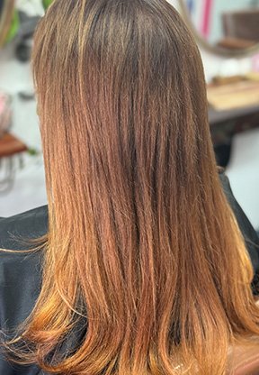 LP_iNOA_ColorGuide_06 copy