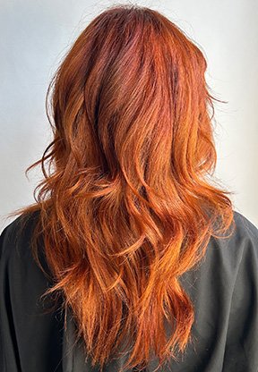 LP_iNOA_ColorGuide_11 copy