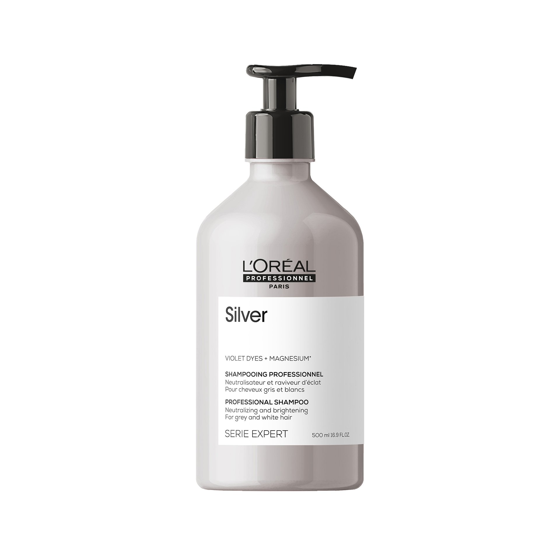 Silver Anti Brass Purple Shampoo L Oreal Professionnel