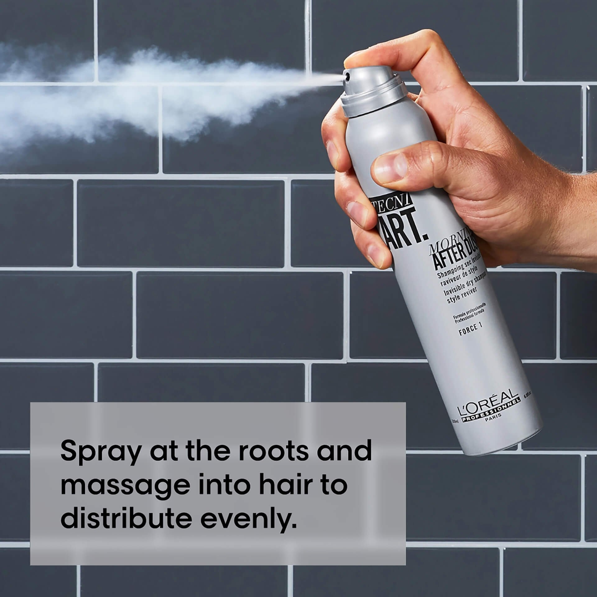 L'Oréal Professionnel Tecni Art Morning After Dust Invisible Dry Shampoo L'Oréal Professionnel Tecni Art Morning After Dust Invisible Dry Shampoo